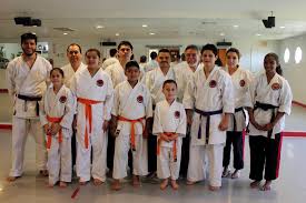 Image result for Imperial Karate Club