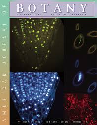 Attēlu rezultāti vaicājumam “Ombrophila violacea spores”