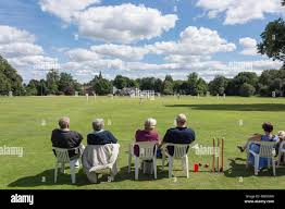Image result for Chorleywood Cricket Club