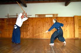 Image result for Ellis Schools of Traditional Aikido
