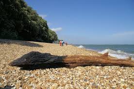 Image result for Calshot