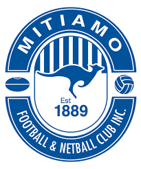 Image result for Moredon Netball Club