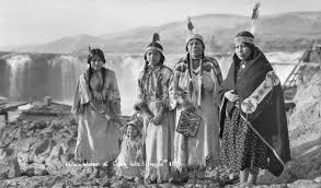 Attēlu rezultāti vaicājumam “Lycogala confusum young”