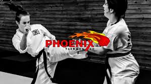 Image result for Leighton Buzzard Tae Kwon-Do Club