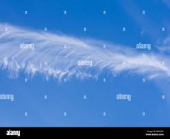 Attēlu rezultāti vaicājumam “Cirrus fibratus”