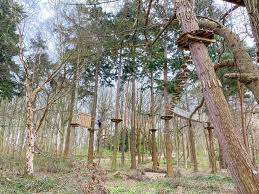 Image result for Go Ape! Leeds Castle