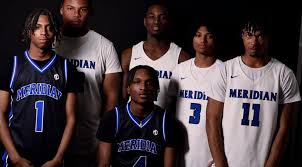 Image result for Team Meridian