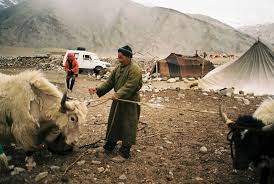 Image result for Nomads