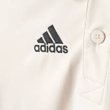 Image result for Rotherham Town Cc