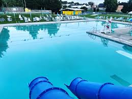 Image result for Ledbury & District Amateur Swimming Club
