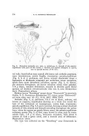 Attēlu rezultāti vaicājumam “Reticularia jurana spores”