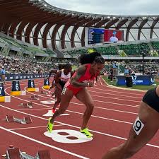 Image result for North west pentathlon hub