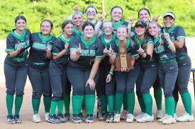 Image result for Dragons Softball Club