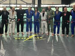 Image result for Revolution Dojo