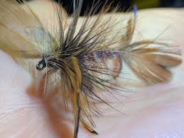 Image result for Crocked Pushers