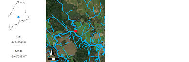 Attēlu rezultāti vaicājumam “Gloeocapsa rupestris”
