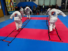 Image result for Valentin Karate