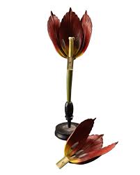 Attēlu rezultāti vaicājumam “Tulipa gesneriana”