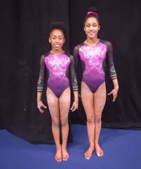 Image result for Appley Bridge Gymnastics Club