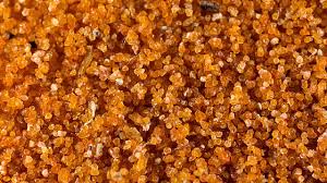 Attēlu rezultāti vaicājumam “Didymium verrucisporum stalked”