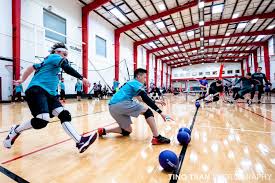 Image result for Weymouth Dodgeball Club