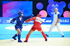 Image result for Combat Sambo