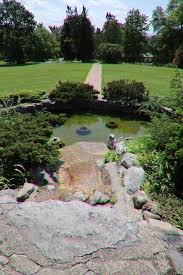 Image result for Thorn Park L T C