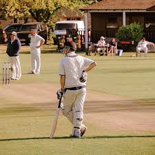 Image result for Newenden Cricket Club
