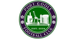 Image result for Goole Town Cricket Club