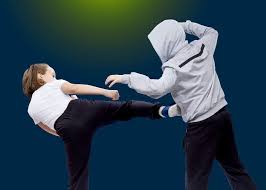Image result for Combined self defence arts