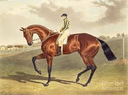 Image result for Art Prints of Horses and Jockeys from 1700's to 1900's