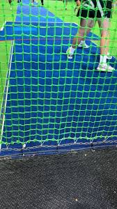 Image result for Ipswich Ladies Netball Club