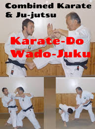 Image result for Abbey Fit Karate Club & Seiki Juku
