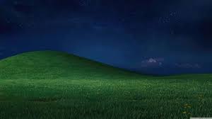 Image result for love windows xp wallpaper