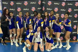 Image result for Devizes Volleyball Club