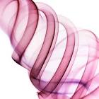 Chaos Theory