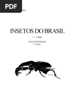 Attēlu rezultāti vaicājumam “Tettigoniodea exuvia”