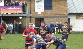 Image result for Thanet Wanderers Rufc