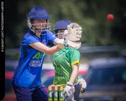 Image result for Clifton Alliance Cc