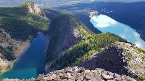 Image result for Dearne Valley Devils