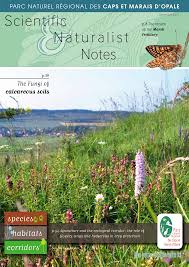 Attēlu rezultāti vaicājumam “Euphydrias aurinia underside”