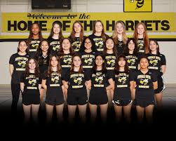 Image result for Addison Badminton Club