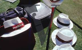 Image result for Salisbury Bowling Club