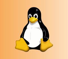 Image result for linux tux