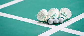 Image result for M & Ms Badminton Club