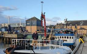 Image result for University Of London Sub-Aqua Club