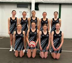 Image result for Raychem Netball Club