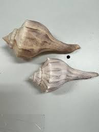 Image result for Sinistrofulgur perversum