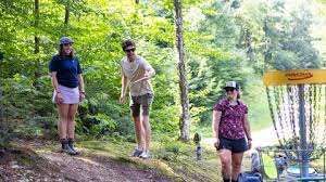 Image result for Bongos Disc Golf Club