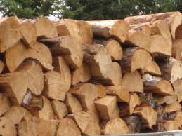 Image result for Wood Green A F S Association